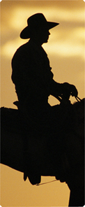 Cowboy Bronze